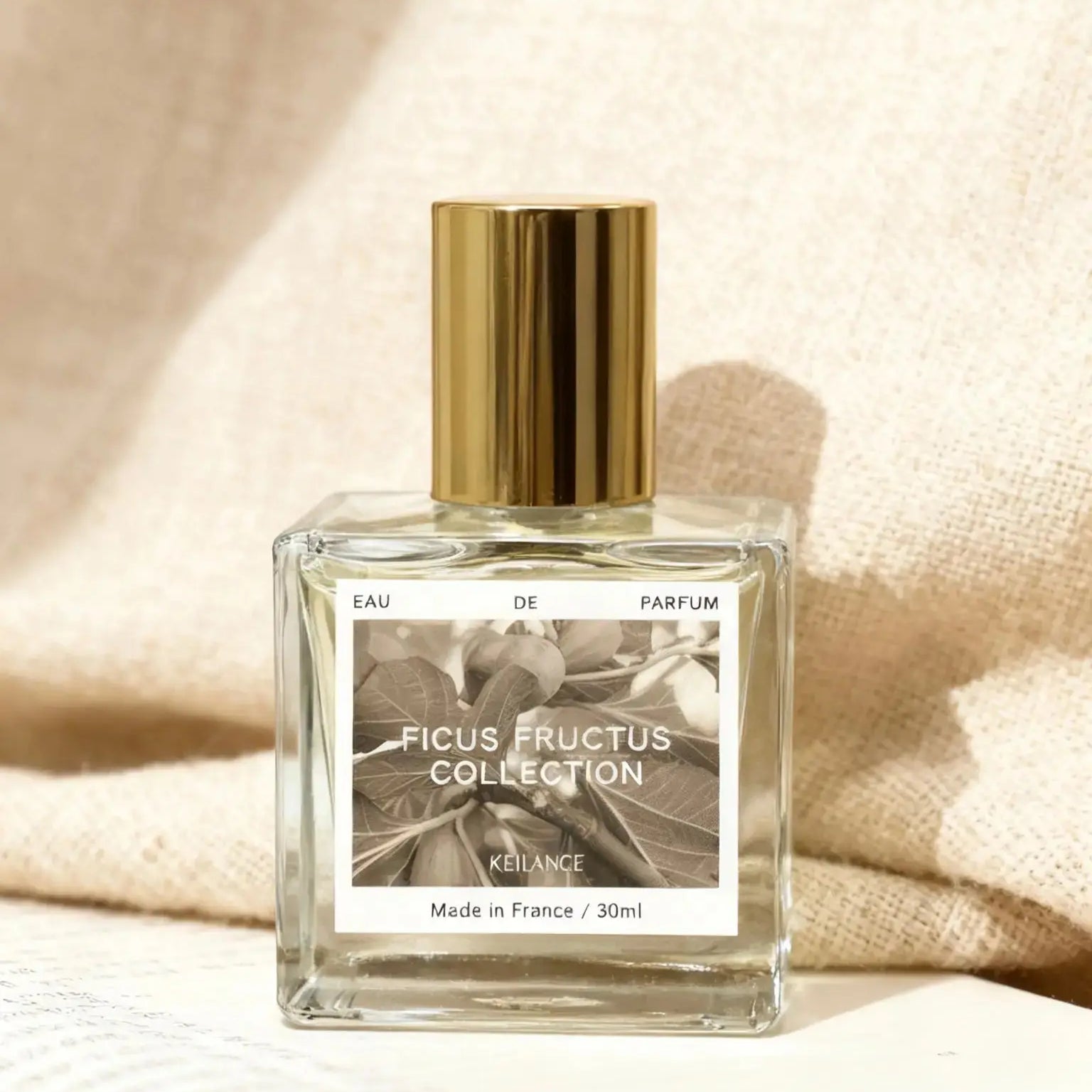 KEILANCE FICUS SHINING CANDLE Keilance