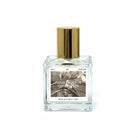 KEILANCE FICUS SHINING CANDLE  Keilance