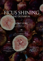 KEILANCE FICUS SHINING CANDLE  Keilance