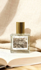 KEILANCE FICUS SHINING CANDLE  Keilance