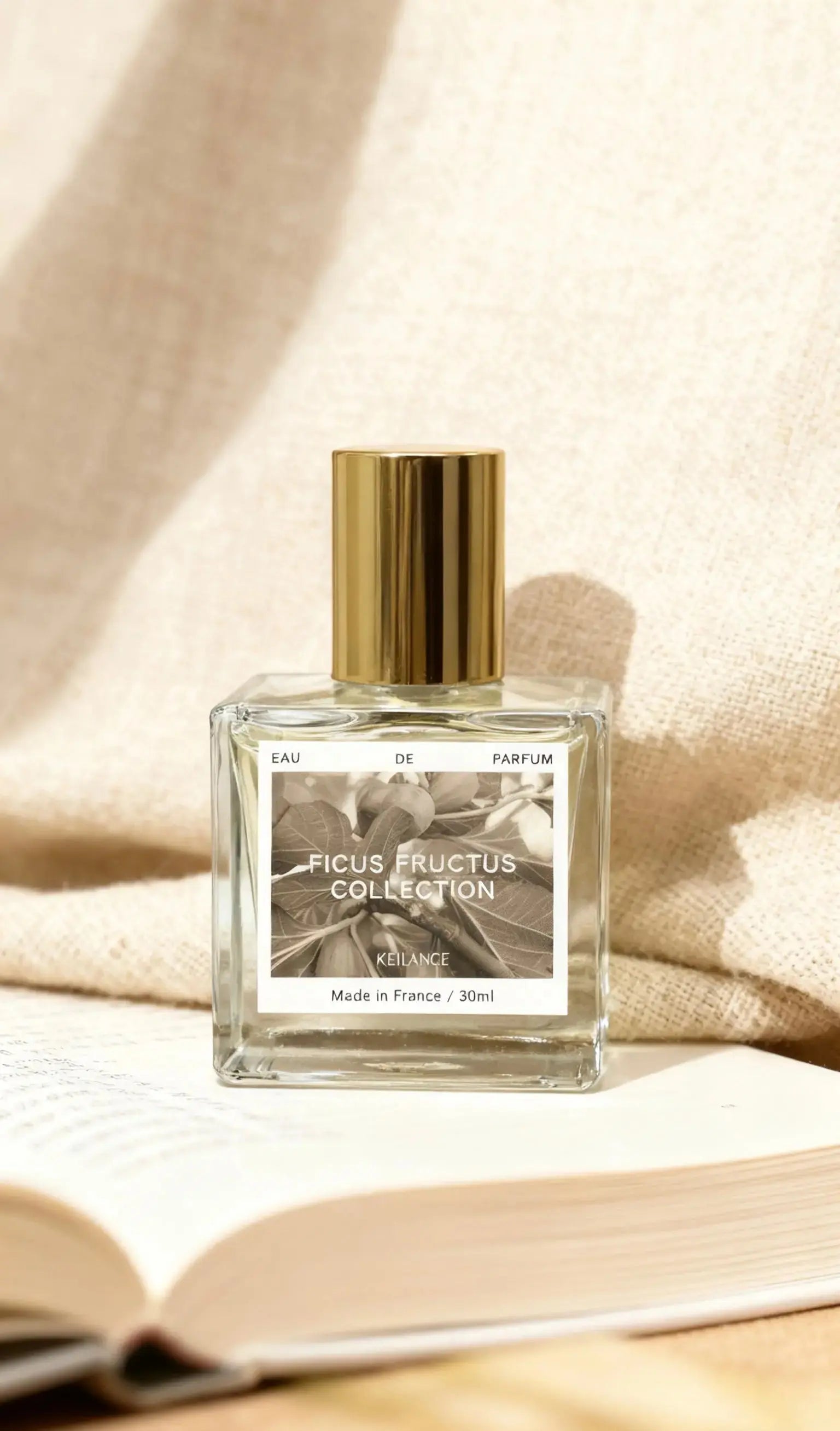 KEILANCE FICUS SHINING CANDLE  Keilance